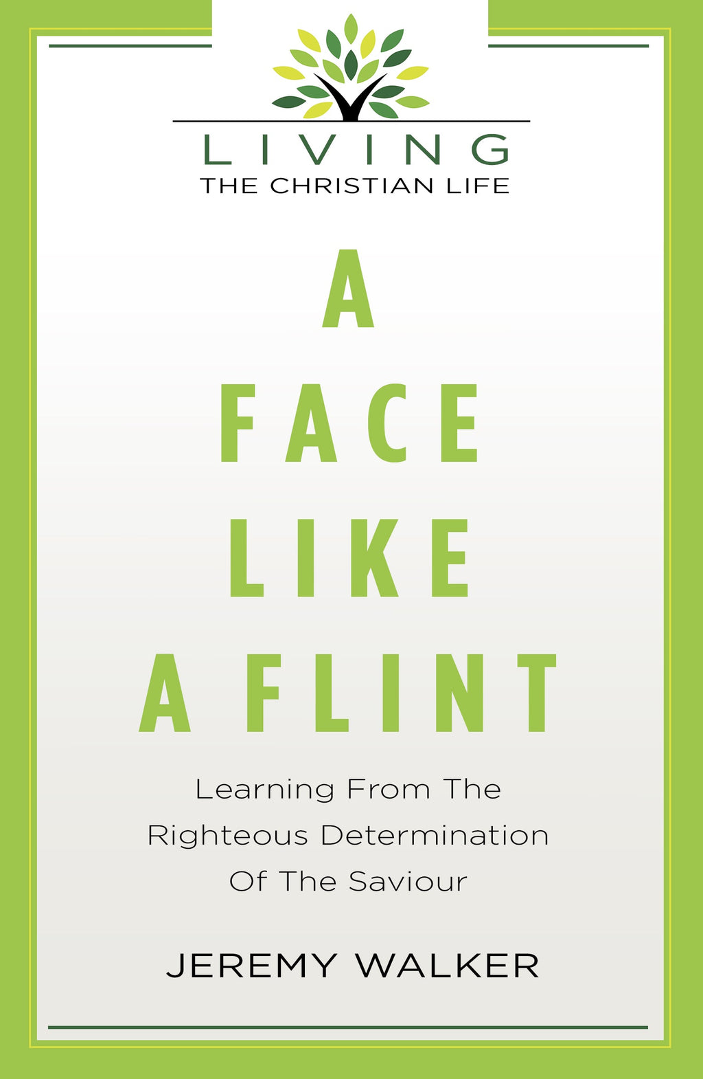 A Face Like A Flint