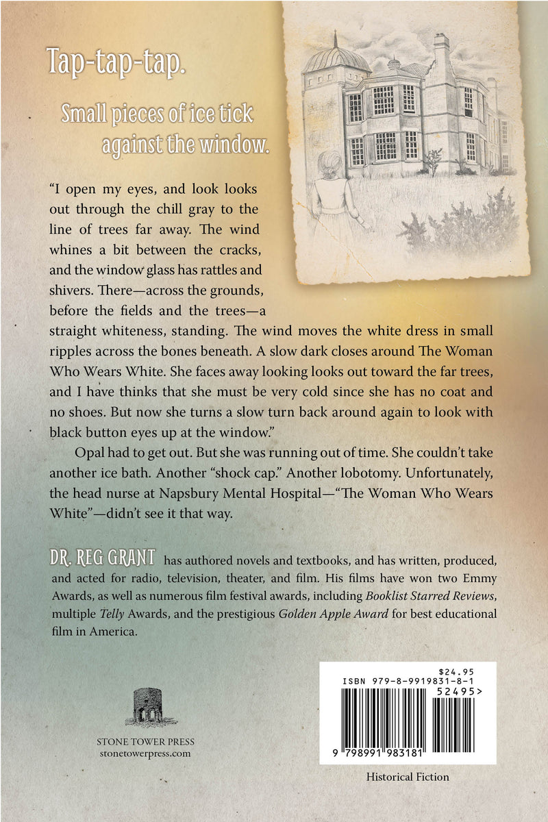 A Window Between: A Year in the Life of Opal Whiteley, Age 6