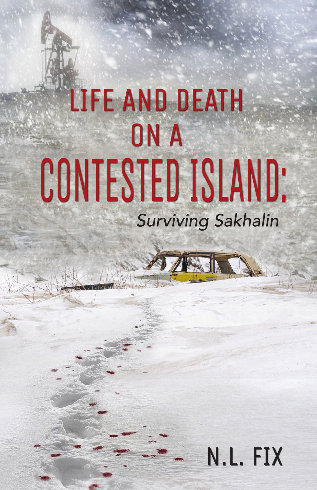 Life and Death on a Contested Island